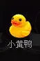 用户名不存在ok