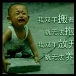 捡瓶升神~龙哥