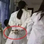 ☞大话东游☜
