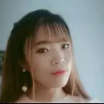 迷情小强