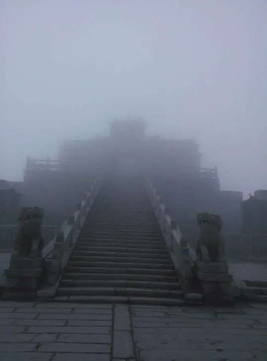 这么久没见.的主播照片
