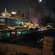 龍挚影