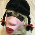 鹰隼gg2