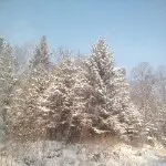兴安飘雪