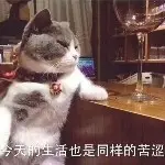 命命停播三个月