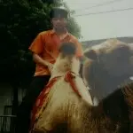 缘分95
