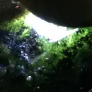 翡翠～石玉无常
