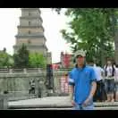 林树y