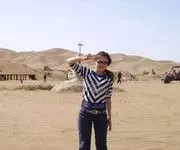 520高回报