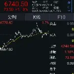 飞鲨🎵🎶