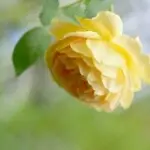 小手装兜兜