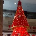 ~纯属娱乐~