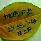 人在旅途k18