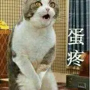 【来了老公】，
