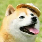 啊亲爱你