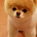 1清风徐来！的用户头像