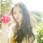 y夜微凉y