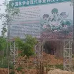 昵称违规，请重新修改