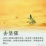 古怪小飞象