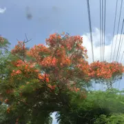 广东💫✨林哥💫