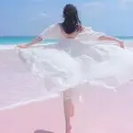 ♥♥♥欧阳♥♥♥