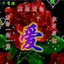温馨的港湾y9
