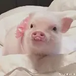 ☞火麒麟☜