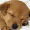 让爱随缘pr