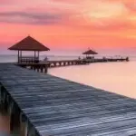 韶华易逝度流年