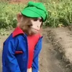 啊军在等你