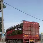 诸葛安奇