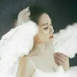 新秀启梦儿