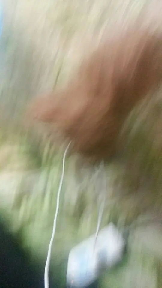 陌小帅1的主播照片