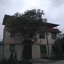 任飘摇6