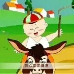 骑个毛驴追主播