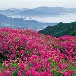 ☞永恒☜果果专属99