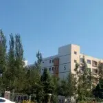 爱，爱在深秋