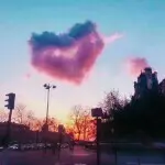 多支持我哥