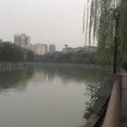青城.....