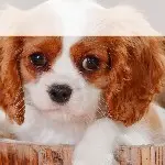 .忆江南