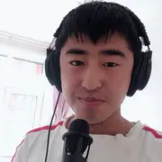 歌手柴华