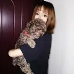 纯纯想升个级