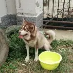 细水长流、