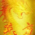 🇨🇳东少🇨🇳