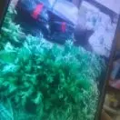 昵称大海