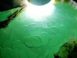 🎆自由人生🎆的主播照片