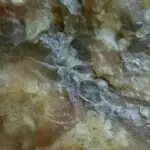☞♥静如水