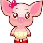 💘柒哥💘