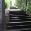 龙在龙城