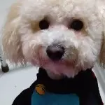 昵称被和谐45710